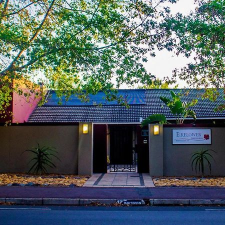 Eikelower Accommodation Stellenbosch Exteriér fotografie